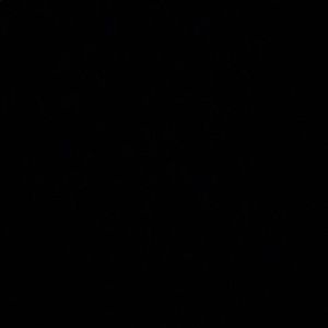 Meet your Posher, Joshua